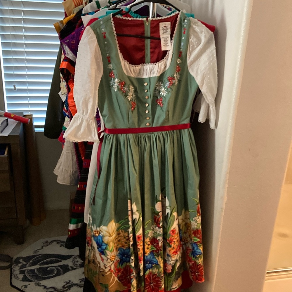 EUC Disney Dress Shop Matterhorn dress